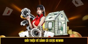 Giới thiệu về nhà cái NEW88 